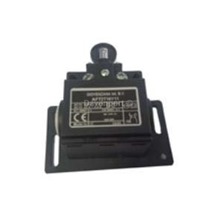 Govenor weight switch