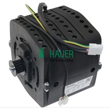 VVVF motor 125/40, 220V, (with front mounting system).