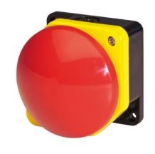 Pegasus Mushroom Head