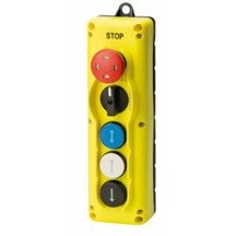 Pendant Control en81