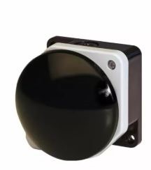 Pegasus Mushroom Head