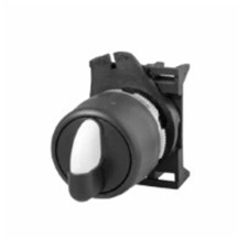 3 Position Spring Return Switch