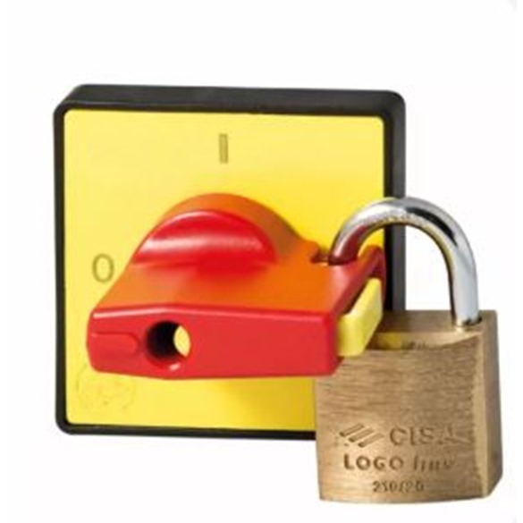 Phoenix Cam Switch Actuator