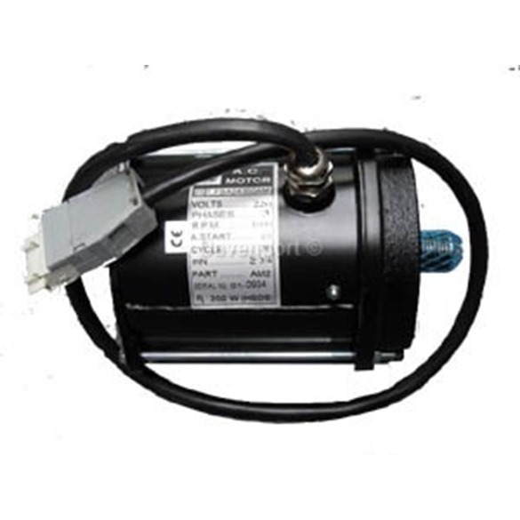 door motor ( HSDS D2200 OPEN 2002 ( HSDS ) 2PSO & 2POO ( 220V 200W 1000RPM ) (with flat plastic plug )