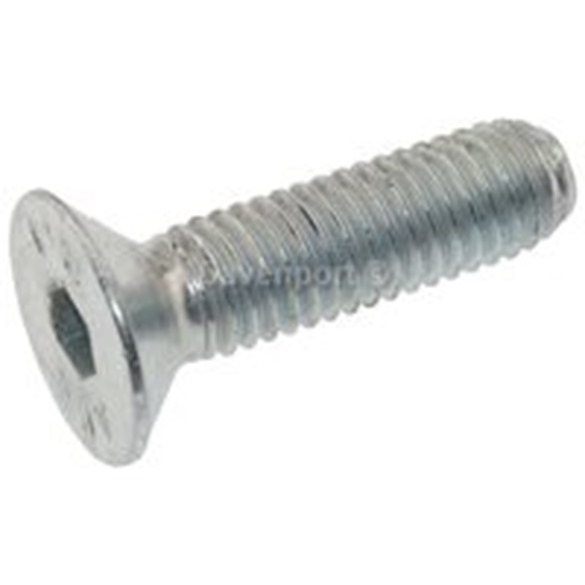 Screw TPSEI M8*30 uni 5933 10.9