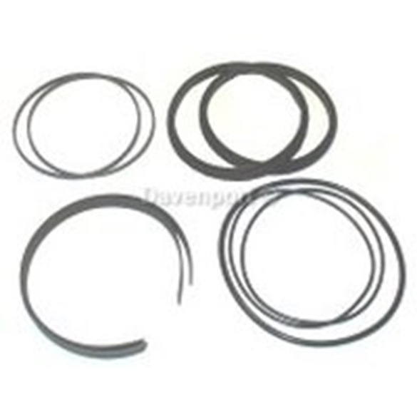 Seal kit for bush 125