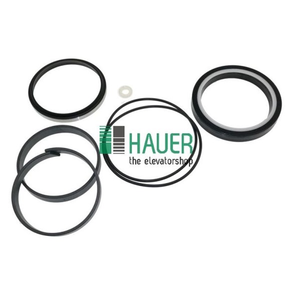 HYDRAULIC CYLINDER RAM D80, SEAL SET TRA