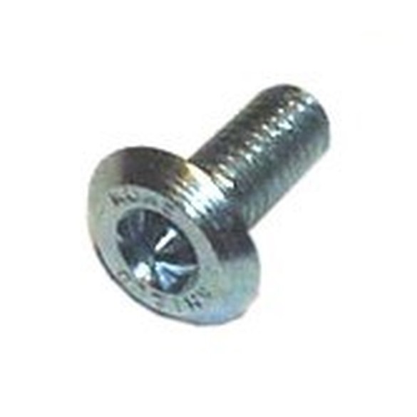 Shield screw M10*25