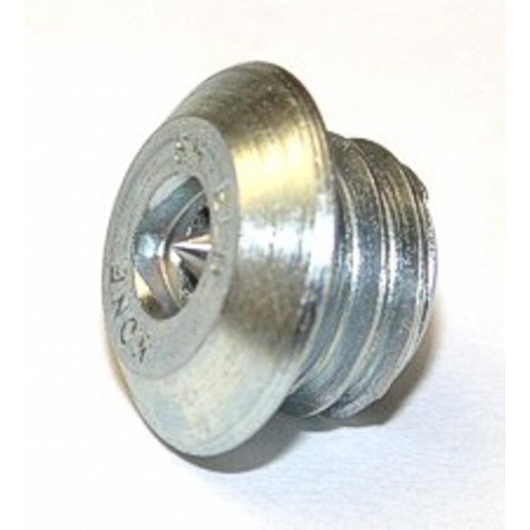 Shield screw M10*6