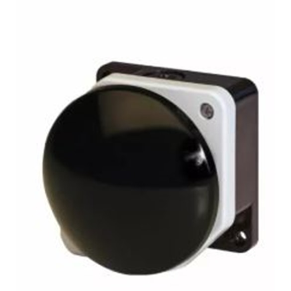 Pegasus Mushroom Head