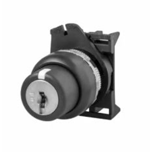 2 Position Selector Switch