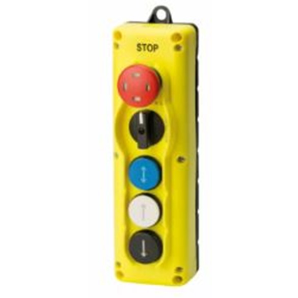 Pendant Control en81